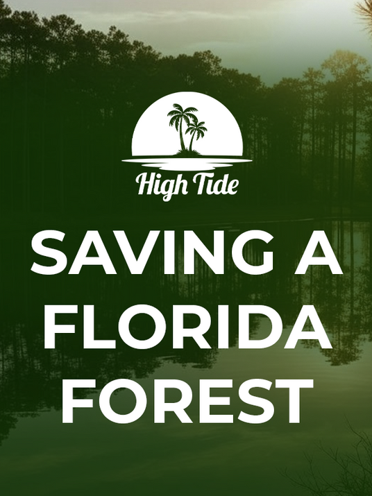 Icon that talks about how High Tide is saving a Florida forest