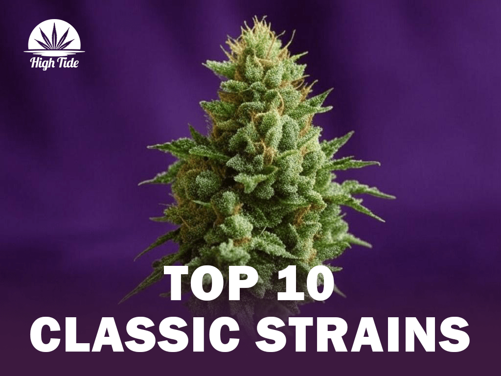 10 Classic Cannabis Strains Every Stoner Should Know