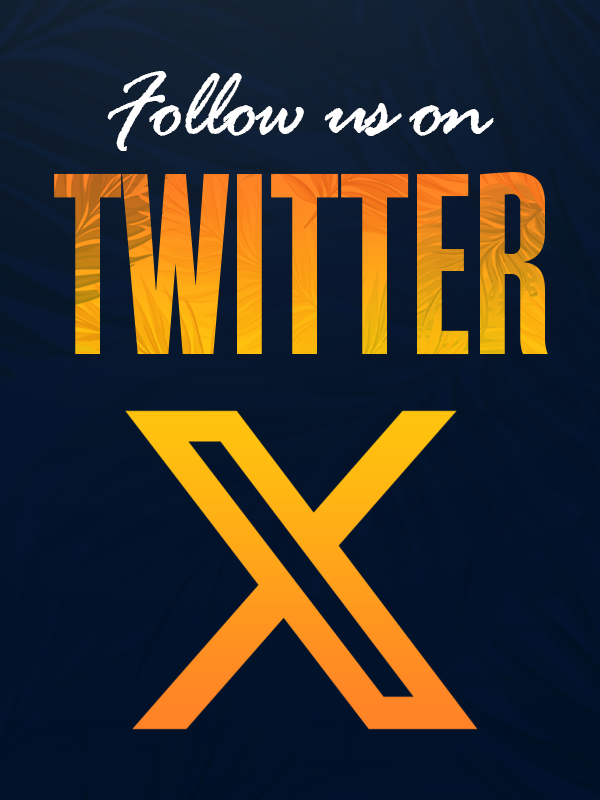 Text that says Follow us on X with X (or Twitter) logo underneath in High Tide colors
